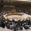 Le Conseil de sécurité vote une résolution sur le Yémen le 26 février 2018.